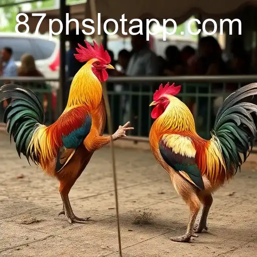 Exploring the Dynamics of Online Sabong: The Rise of 87PH.COM